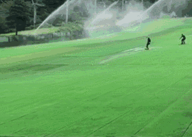 双板练习gif