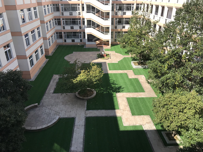 余姚实验学校小学部花园绿化2