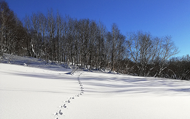 为什么绿菱四季旱雪滑道坡度要做变角？